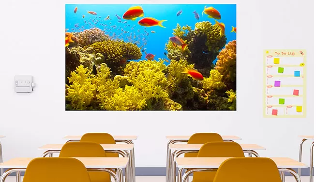 Máy chiếu siêu gần Epson 