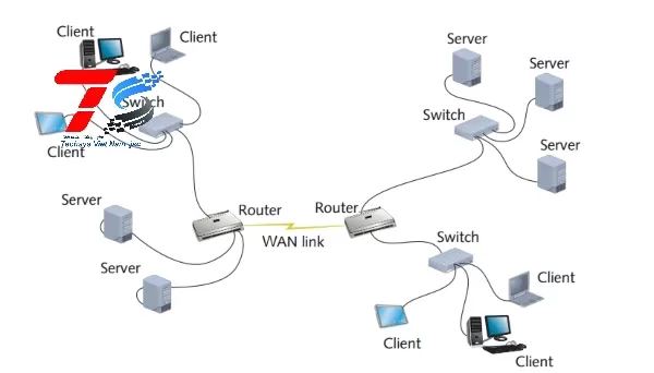 Sự khác biệt giữa Hub, switch và router​ trong mạng máy tính